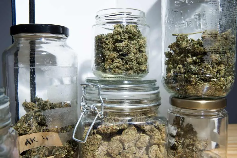 How to keep weed fresh and potent for longer